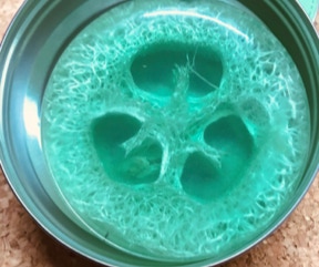 luffa love seife crazysuitcaseflamingo